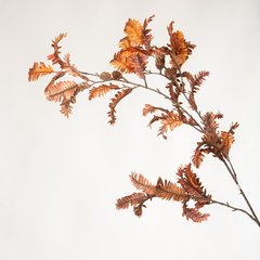 Schilliger Sélection  Taxus cuivre métallique Brun cuivre 106cm