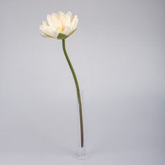   Fleur de Nenuphar Blanc 58cm