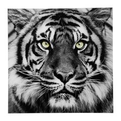   Tableau Tigre carré  80x80cm