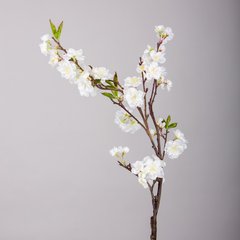   Cerisier en fleurs Blanc 90cm
