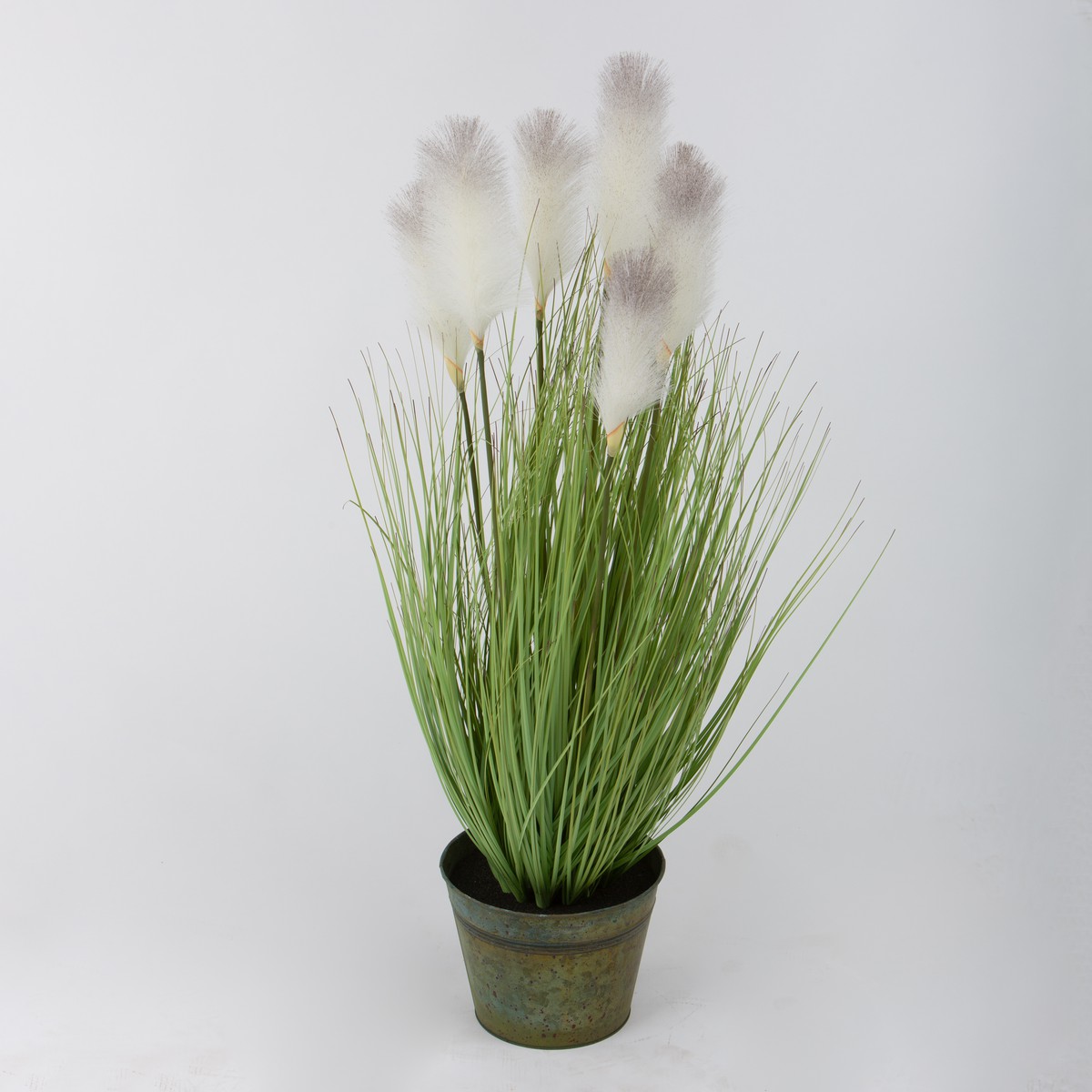 Schilliger Sélection  Herbe de la Pampa en pot métal Vert gazon ou herbe 135x23.5cm