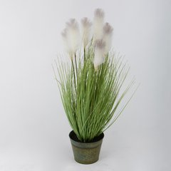 Schilliger Sélection  Herbe de la Pampa en pot métal Vert gazon ou herbe 135x23.5cm