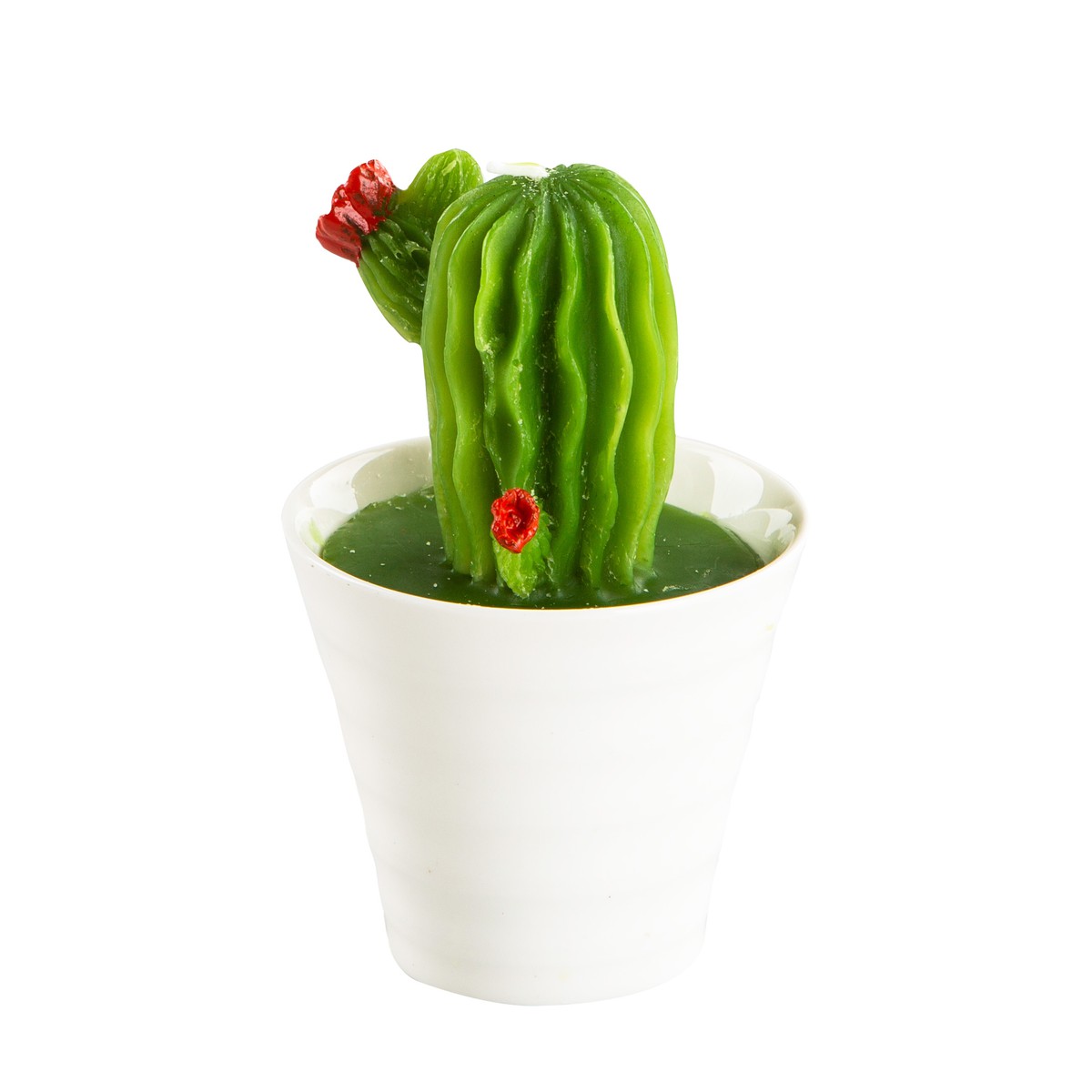   Bougie Cactus en pot Vert sapin 