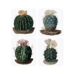   Set de 4 Sous-verre Cactus  10x10cm