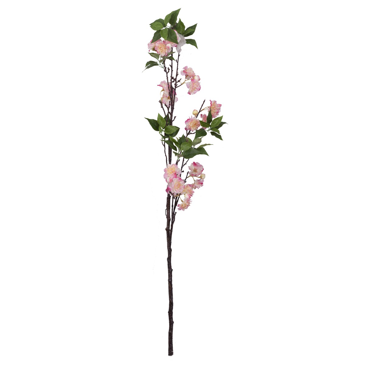 Schilliger Sélection  Cerisier en fleur Rouge rose dragée 110cm