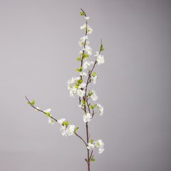   Cerisier en fleur Blanc 127cm