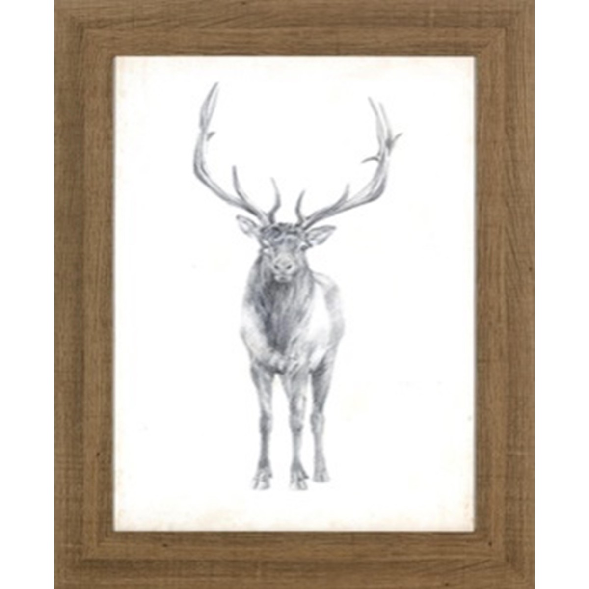  Tableau Elk Study NY512  60x75