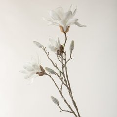 Schilliger Sélection  Magnolia enneigé en branche Blanc 84cm