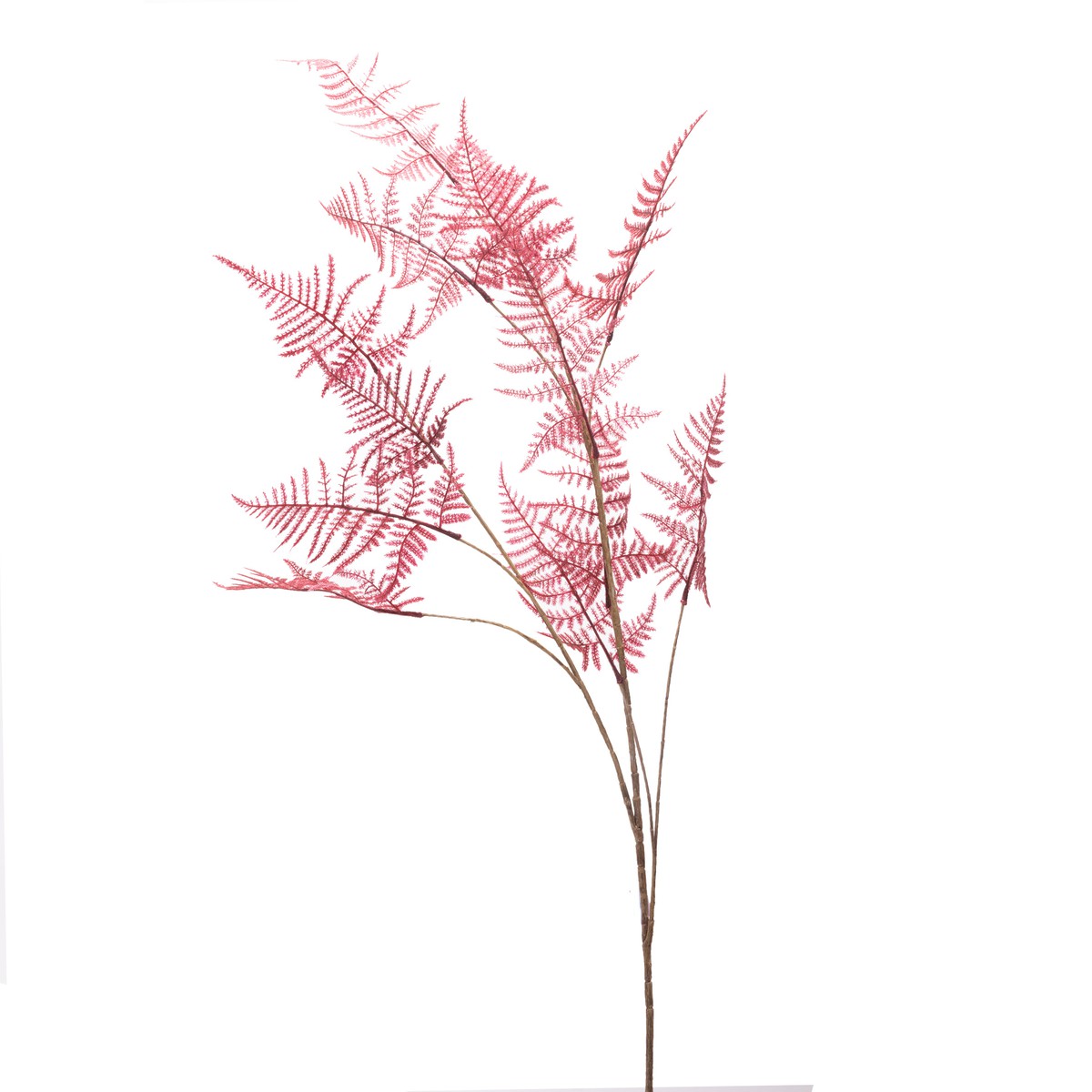 Schilliger Sélection  Asparagus velvet Rouge bordeaux 125cm