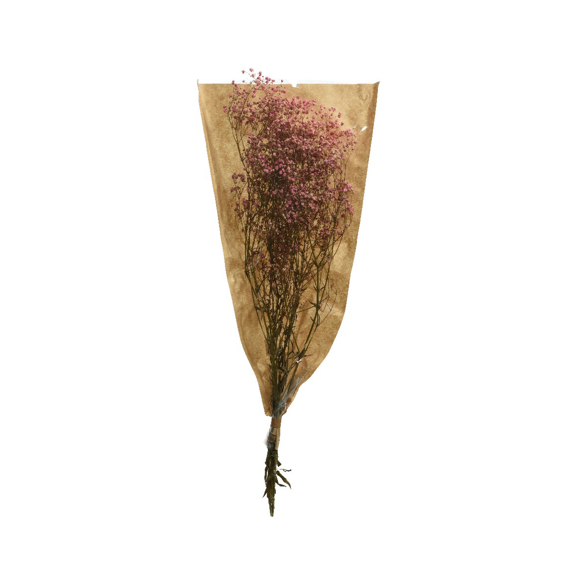 Schilliger Sélection  Bouquet de Gypsophiles séchés  25x10x50cm
