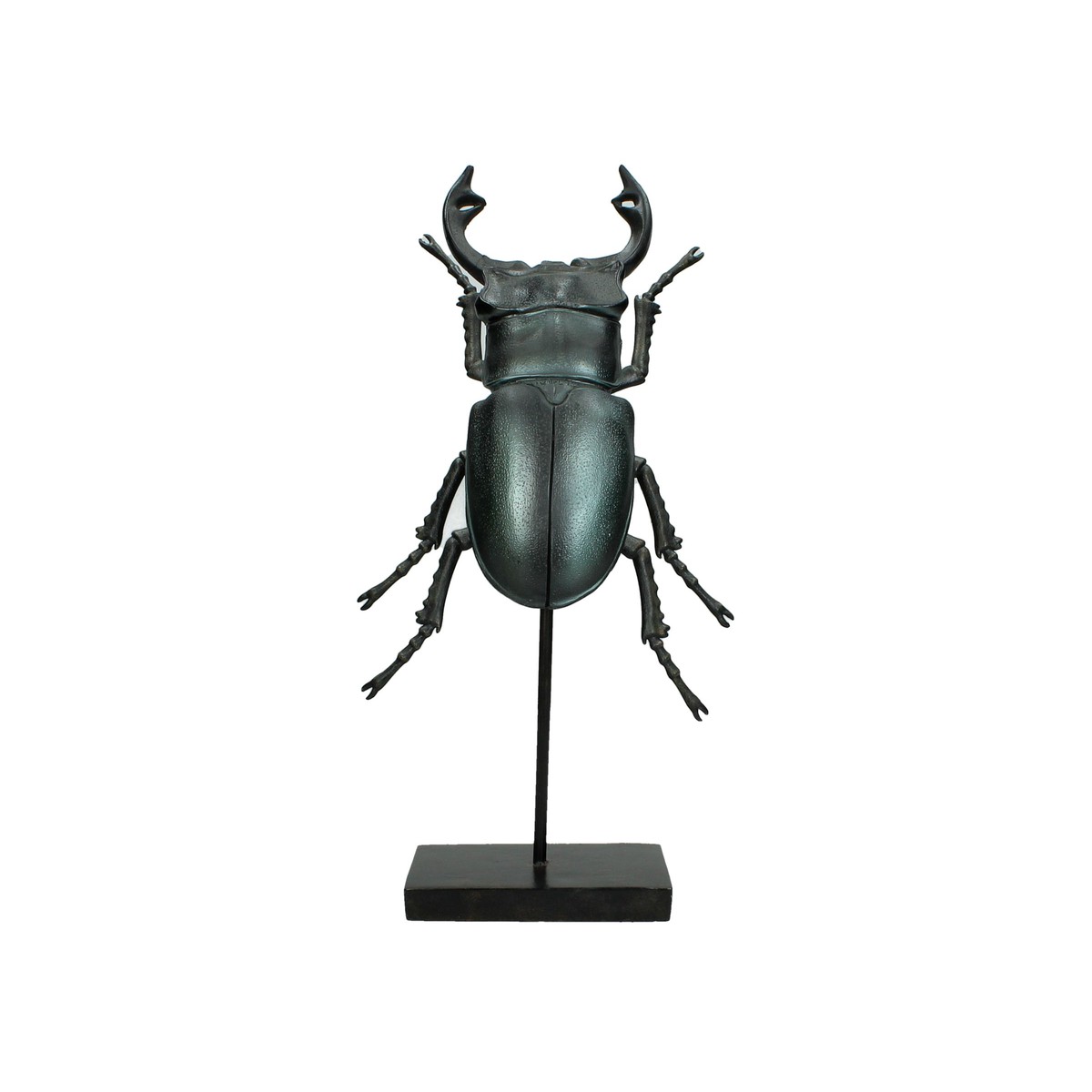 Schilliger Sélection  Scarabé sur pied  17.5x9.5x33cm