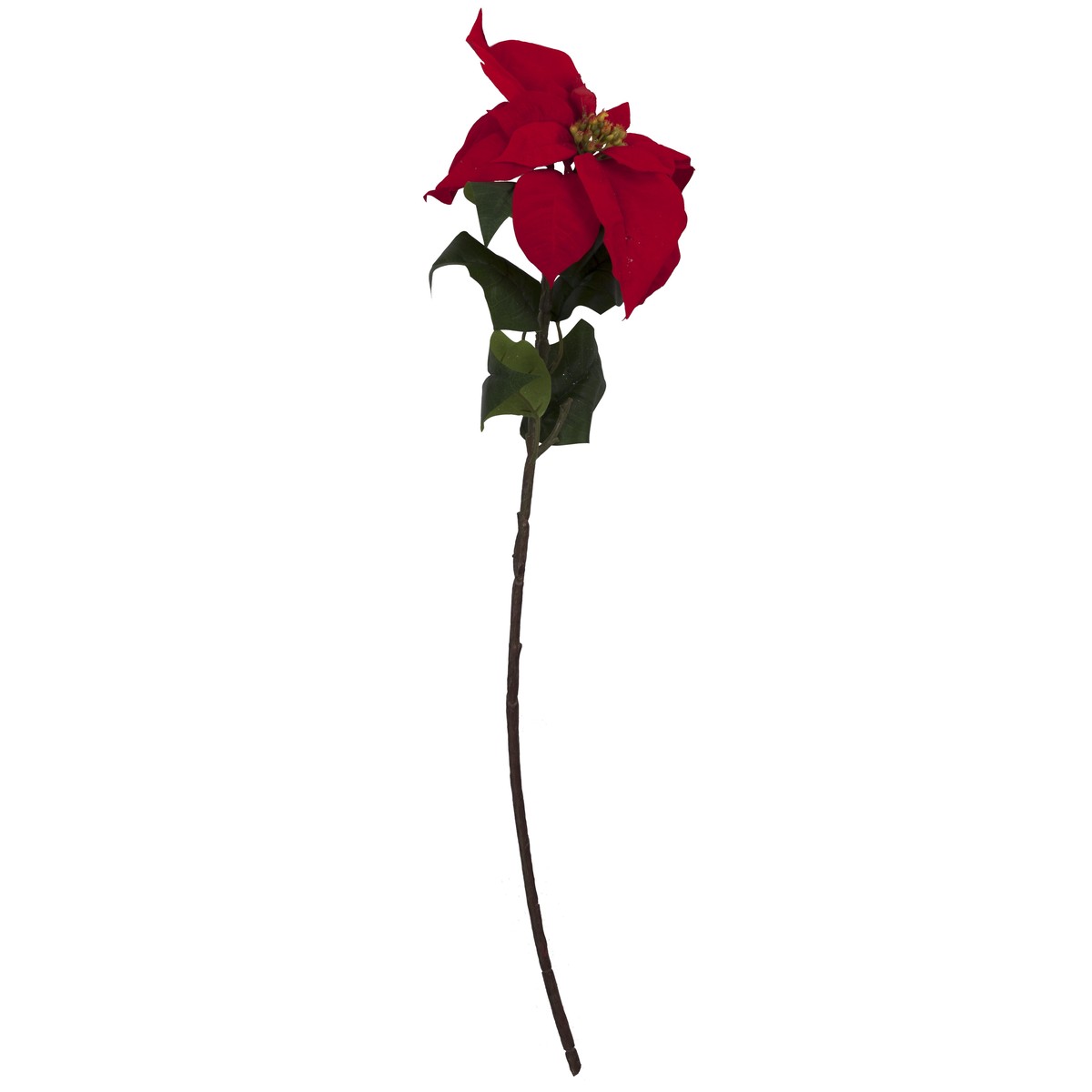 Schilliger Sélection  Poinsettia rouge en branche Rouge cerise 76cm