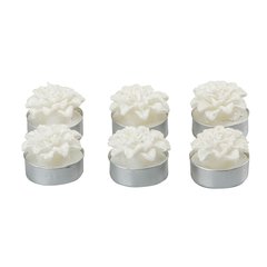 Schilliger Design  Bougies Poinsettia en boite 6pcs blanc Blanc neige 3.8cm