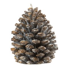 Schilliger Design  Bougie Pomme de pin naturel Brun 6.5x6.5x7.2cm