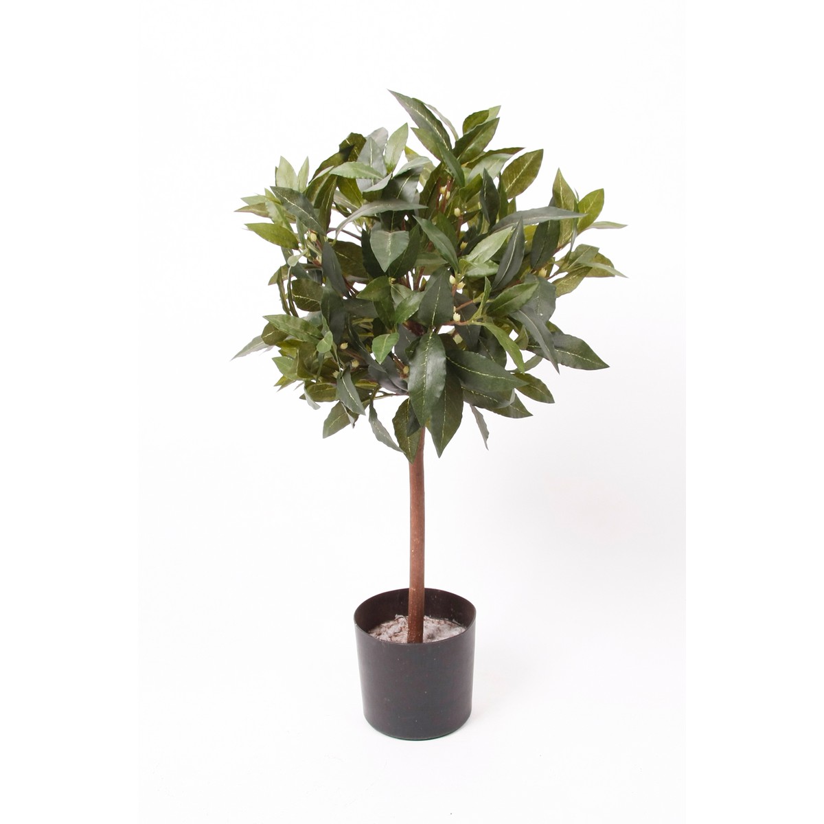 Schilliger Sélection  Laurier tige artificiel  60cm