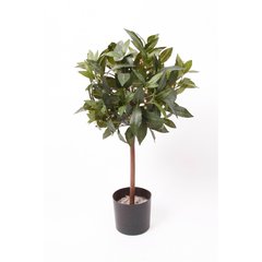 Schilliger Sélection  Laurier tige artificiel  60cm