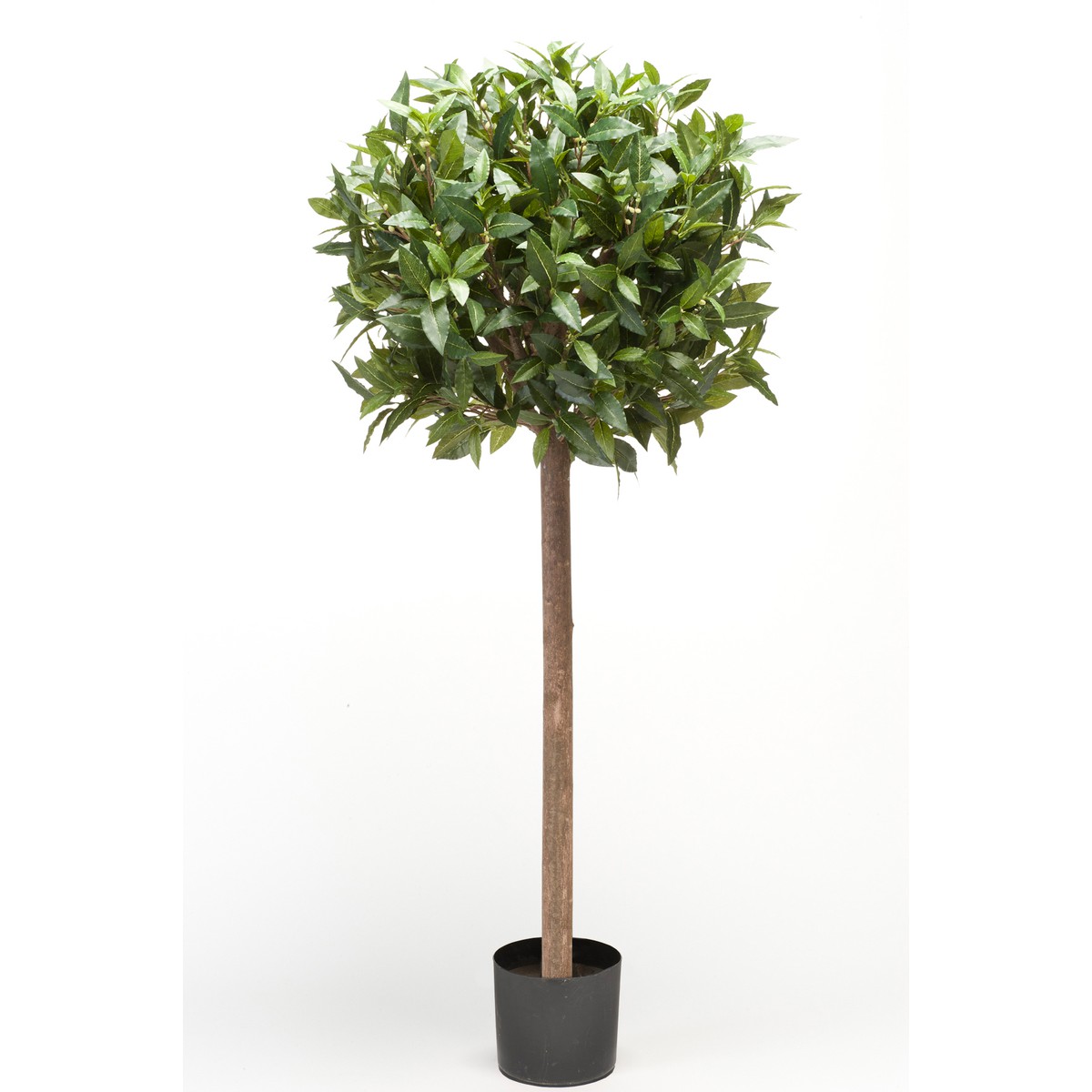 Schilliger Sélection  Laurier tige artificiel  120cm