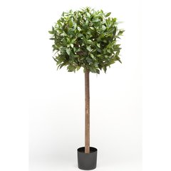 Schilliger Sélection  Laurier tige artificiel  120cm