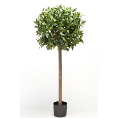 Schilliger Sélection  Laurier tige artificiel  150cm
