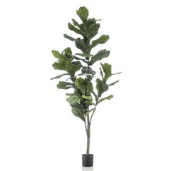 Schilliger Sélection  Ficus Lyrata artificiel  150cm