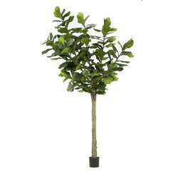 Schilliger Sélection  Ficus Lyrata artificiel Sans couleur 300cm