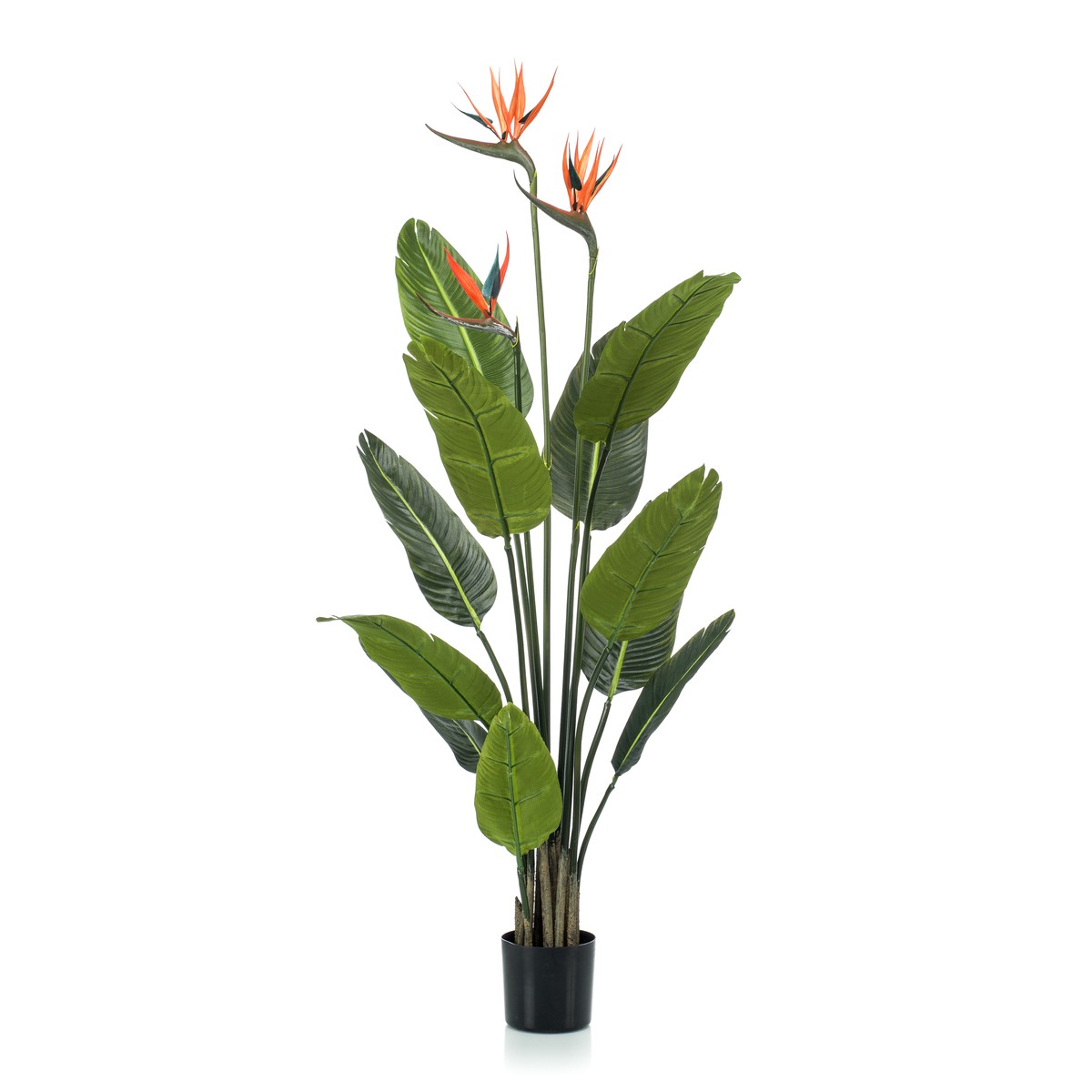 Schilliger Sélection  Strelitzia avec fleurs artificiel  120cm