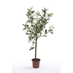 Schilliger Sélection  Olivier artificiel Sans couleur 65cm
