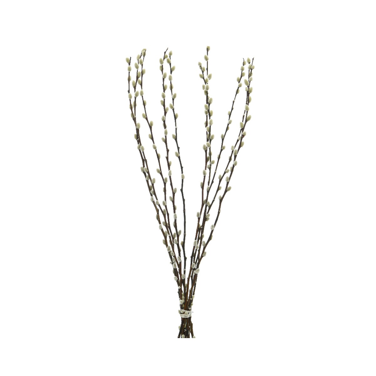 Schilliger Sélection  Branches Noisetier naturels séchés  70cm