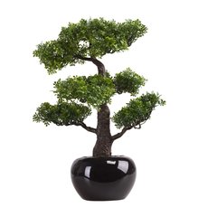 Schilliger Sélection  Bonsai Ficus artificiel pot rond noir  47cm