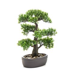 Schilliger Sélection  Bonsai Ficus artificiel coupe ovale brune  43cm