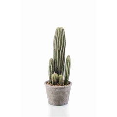 Schilliger Sélection  Cactus San Pedro en pot artificiel  37cm