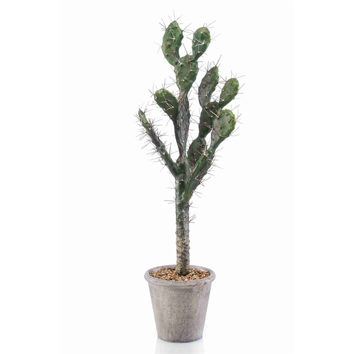 Schilliger Sélection  Cactus Sabra en pot artificiel  80cm