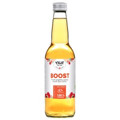 Chill Ice Tea  Thé froid BOOST BIO  33cl