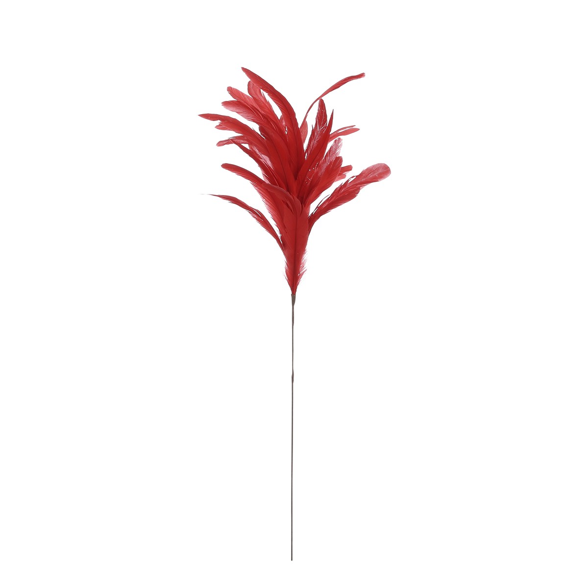 Schilliger Sélection  Pique plume rouge Rouge cerise 22x80cm