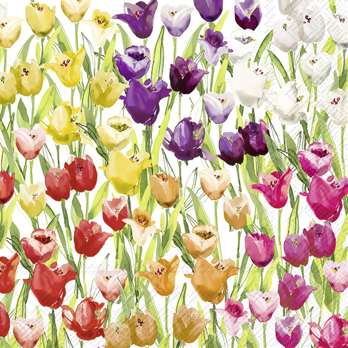 Boston International Papierservietten – 3-lagig, Tulpenmotiv, 20 Stück In Lunch-Größe