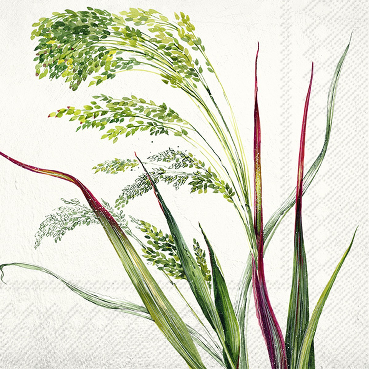 Decoration Jungle Anniversaire Lot De 20 Serviettes En Papier Tropicales 33x33cm - Décoration Fête Service De Table