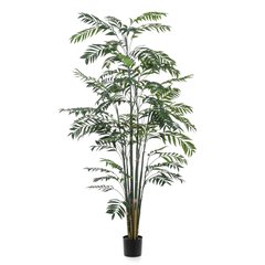 Schilliger Sélection  Bambou artificiel  245cm