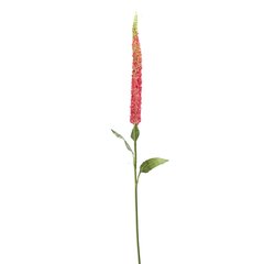 Schilliger Sélection  Kniphofia en branche artificiel Rouge rose fuchsia 107cm