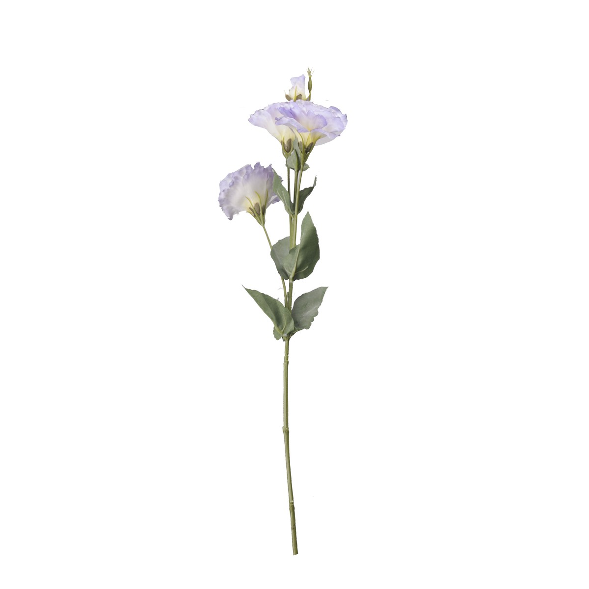 Schilliger Sélection  Lisianthus en branche artificiel Violet violine 68cm