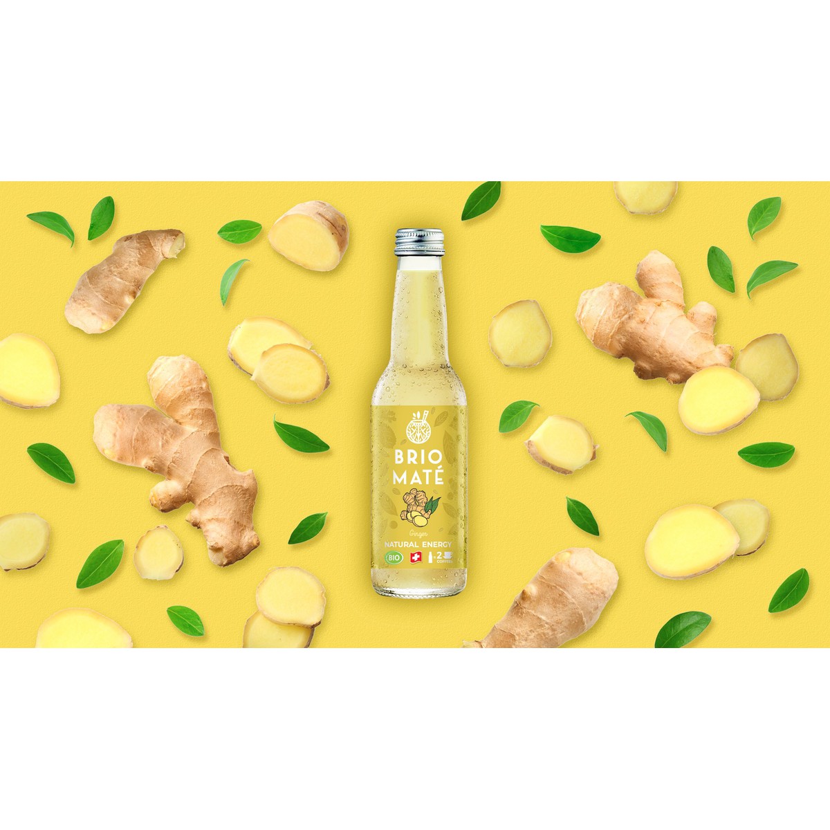 Thés glacés, Brio Mate BRIO BRIO MATE MINT GINGER BIO 33cl | Schilliger