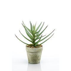 Schilliger Sélection  Aloe artificielle  18cm