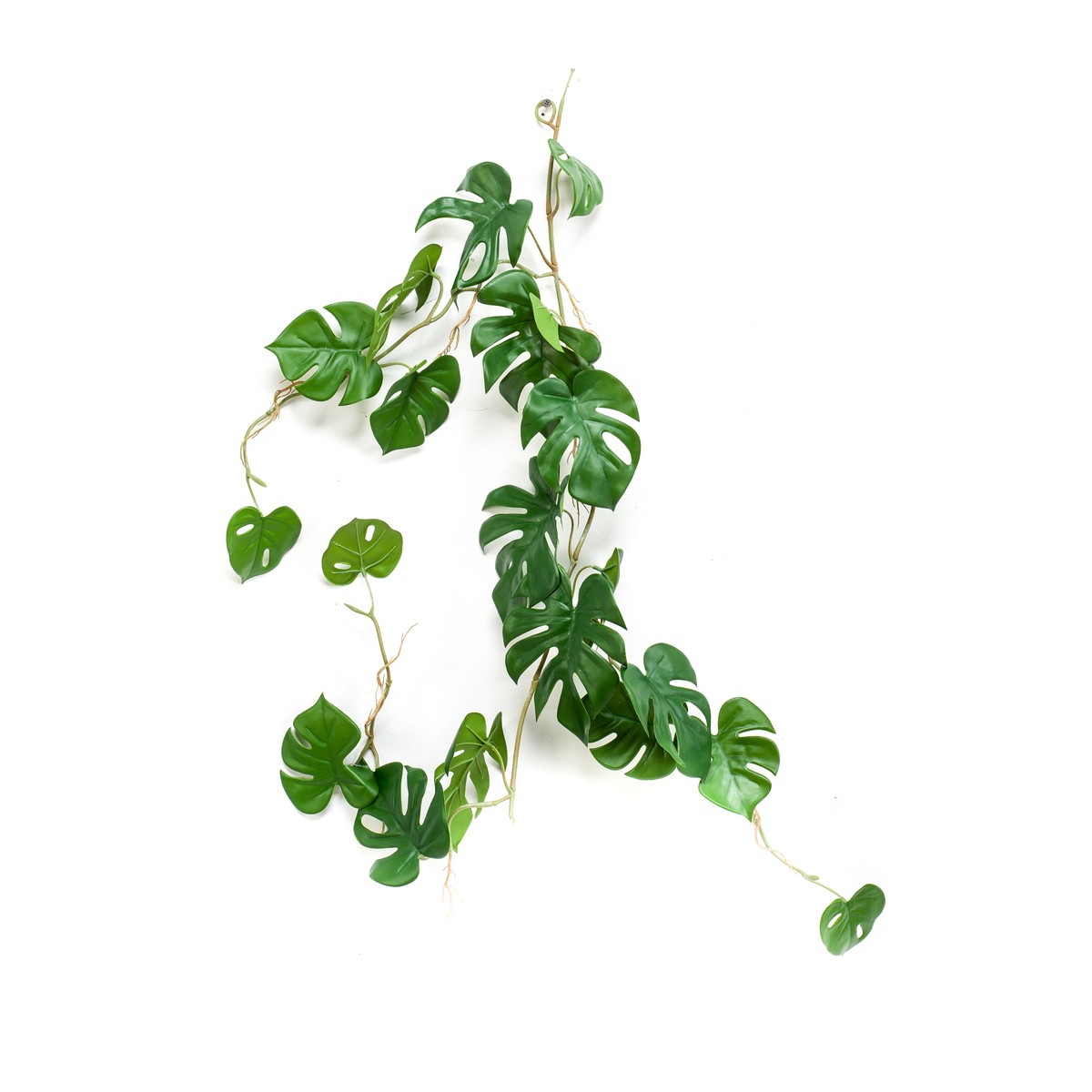 Schilliger Sélection  Guirlande Monstera artificiel Sans couleur 110cm