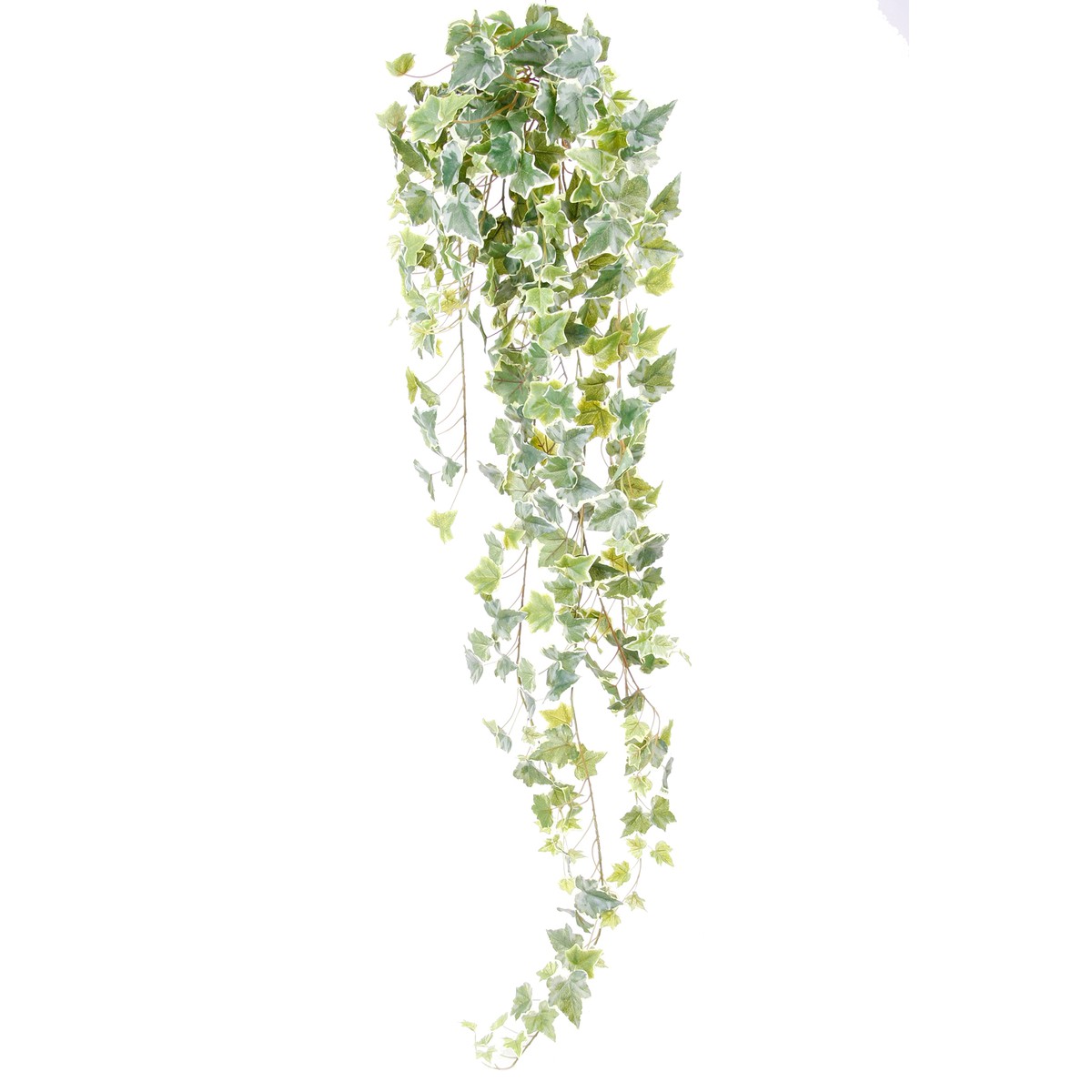 Schilliger Sélection  Lierre panaché retombant artificiel  120cm