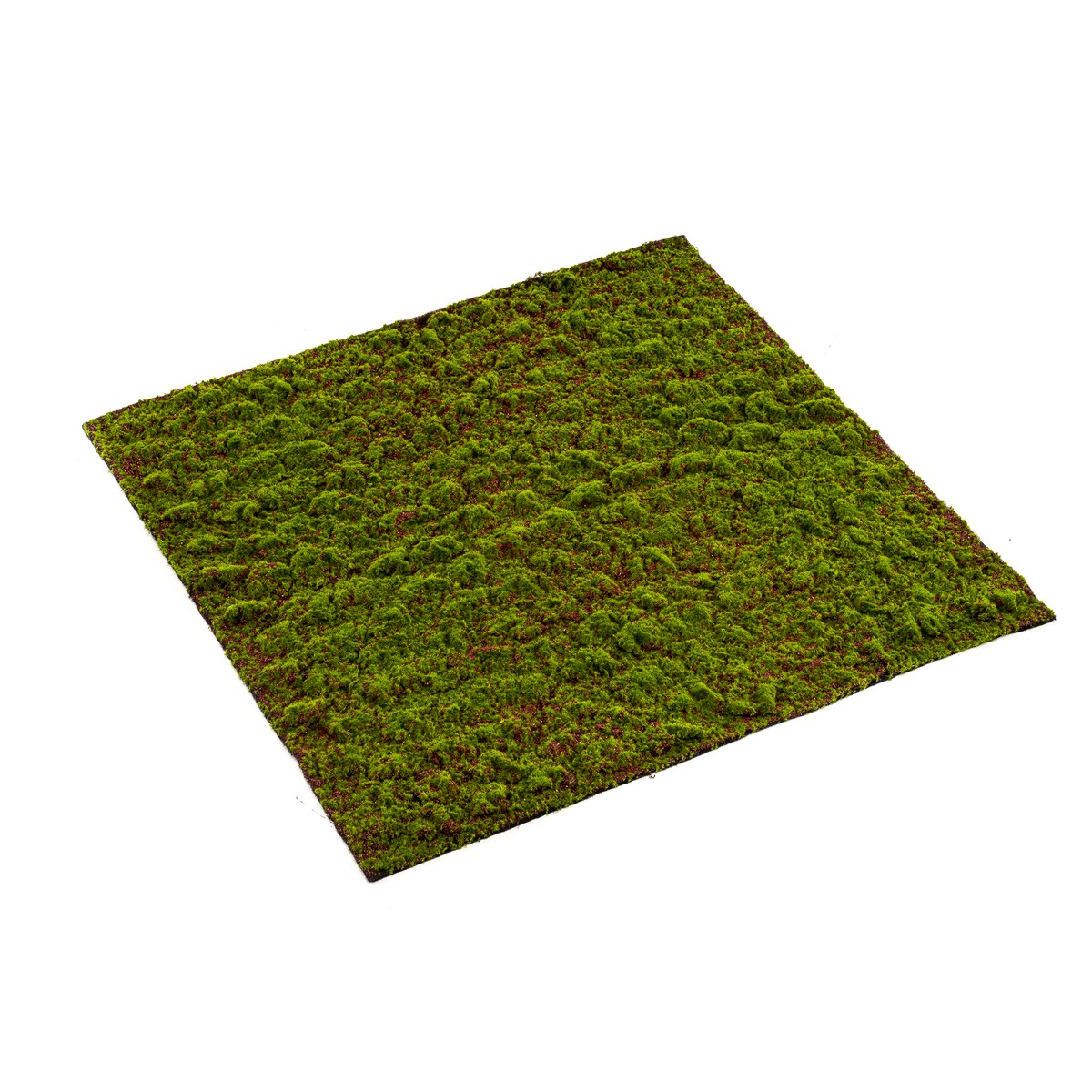 Schilliger Sélection  Mousse Grimmia en plaque artificielle  100x100cm