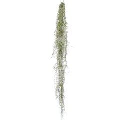 Schilliger Sélection  Tillandsia retombant artificiel  150cm