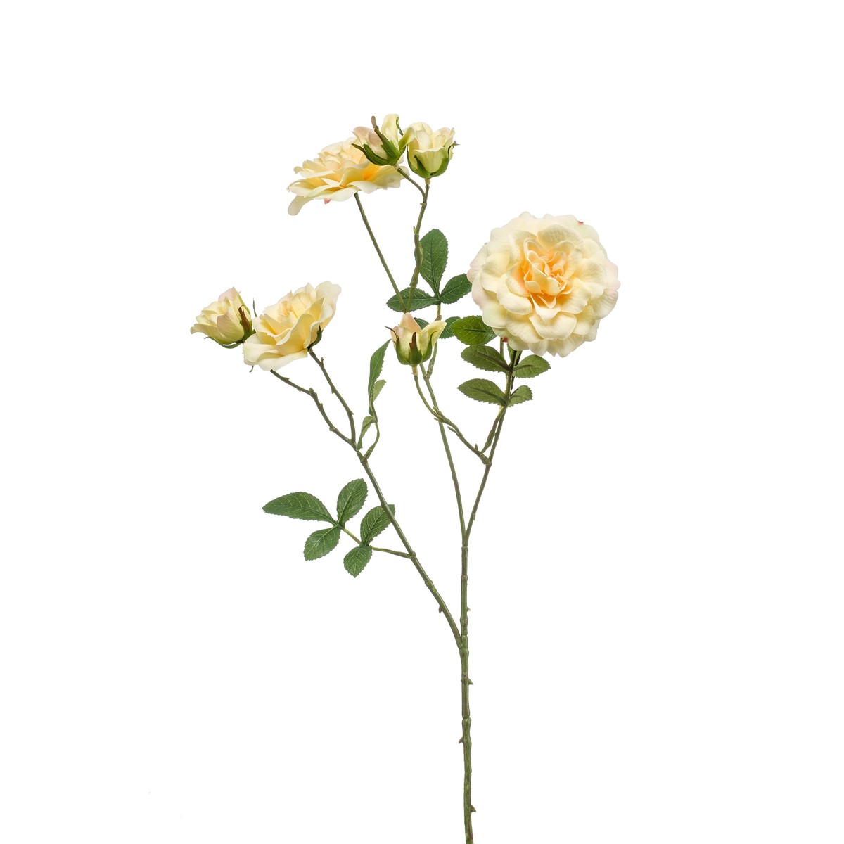 Schilliger Sélection  Rose Anglaise en branche artificielle Jaune paille 68cm