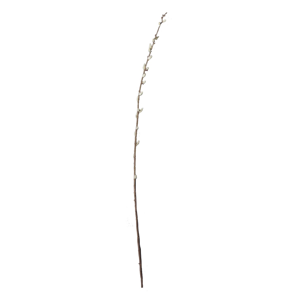 Schilliger Sélection  Noisetier en branche artificiel  105cm