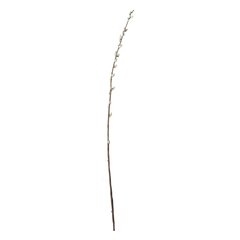 Schilliger Sélection  Noisetier en branche artificiel  105cm