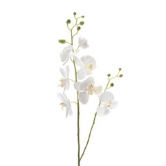 Schilliger Sélection  Phalaenopsis 2 branches artificiel  95cm