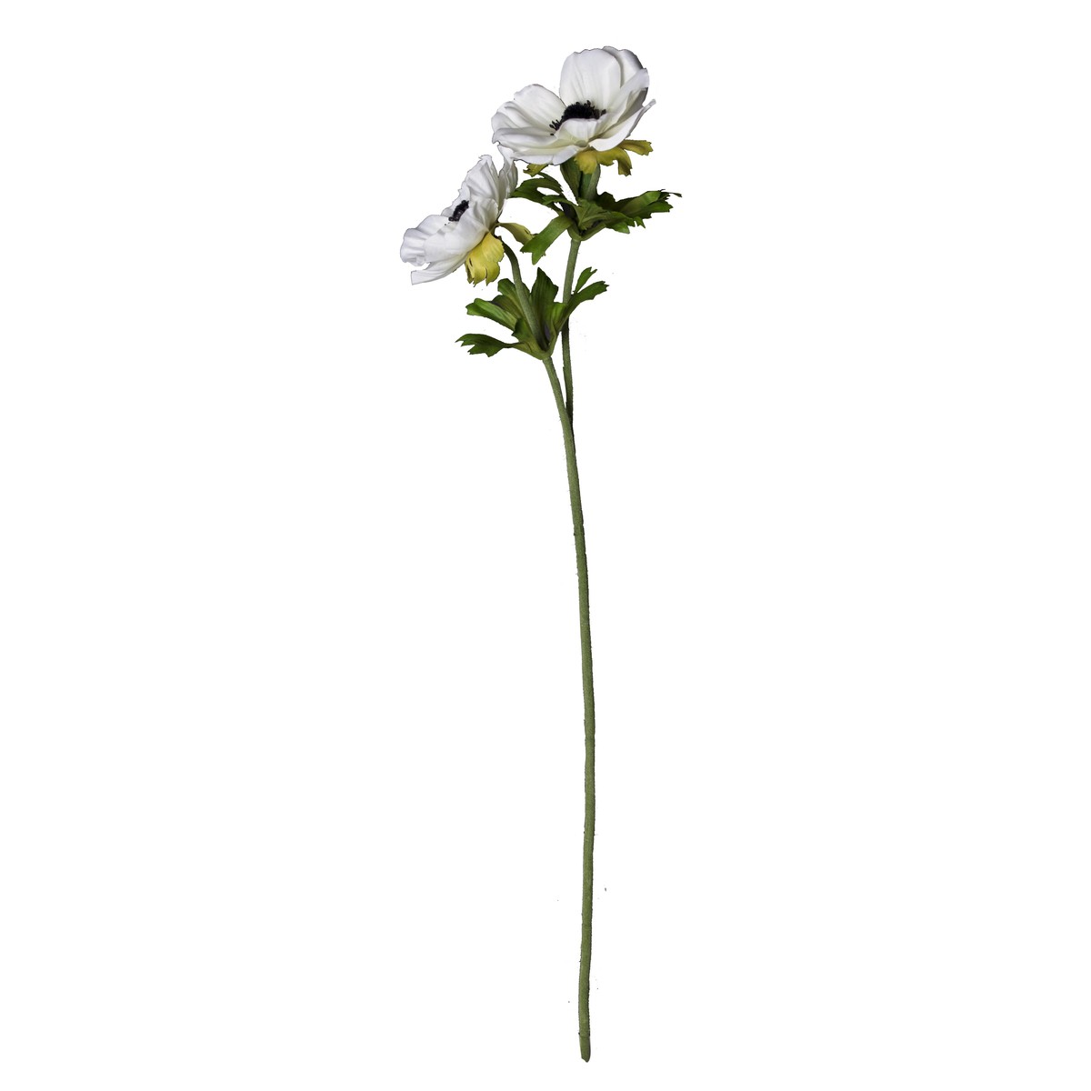 Schilliger Sélection  Anemone 2 fleurs en branche artificiel Blanc 50cm